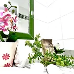 House By Gloove *