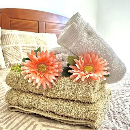 House By Gloove Appartement Torrevieja